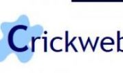Try these Crickweb Games