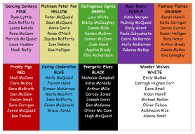 SPORTS DAY TEAMS & COLOURS