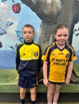 Cumann na mBunscol Skills Day