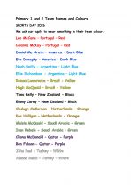 SPORTS DAY TEAMS