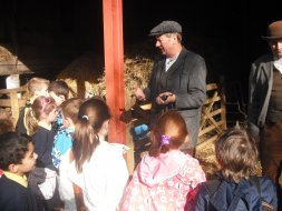 PRIMARY 3-4 VISIT THE FARM